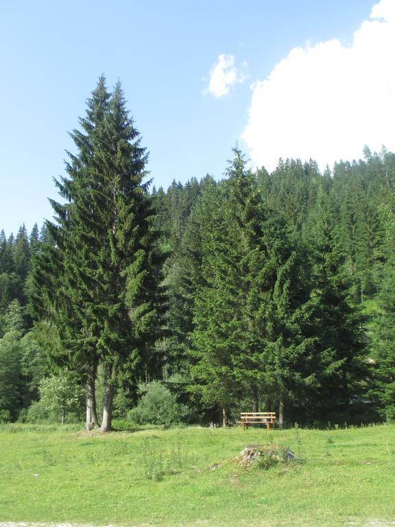 Ferienhaus Schwarzenbacher Lungotz ห้อง รูปภาพ